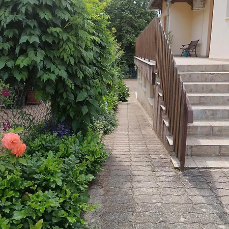 Rosa Homestay Zalakaros